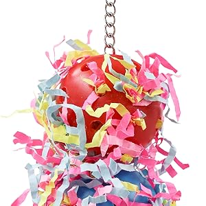 Bird Chew Toys