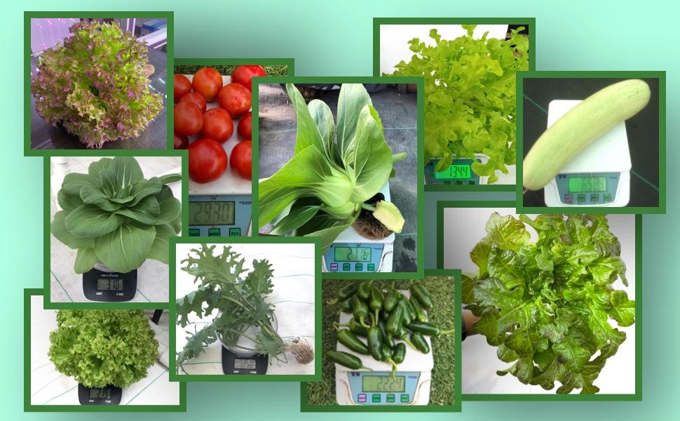 Large manufacture image 4