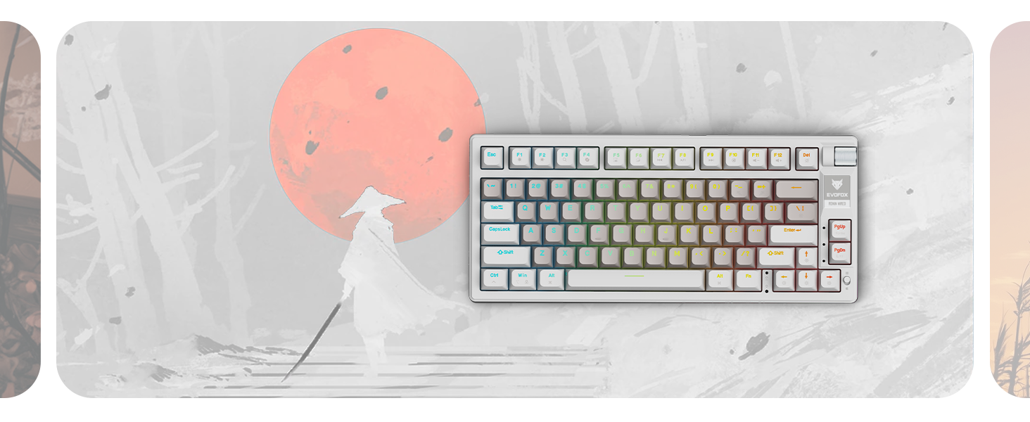Evofox Ronin TKL Wired Mechanical Keyboard