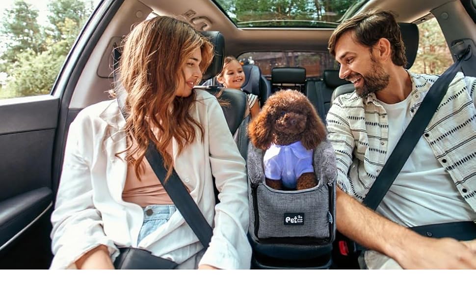 Owners travel with pets.