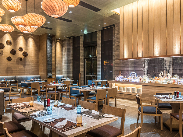 fryer with basket for commercial use