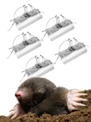 Small manufacture image 1