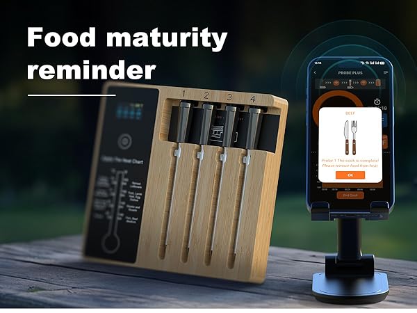 wireless meat thermometer