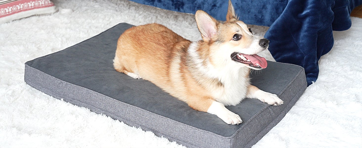 Vamcheer Large Dog Bed Washable Orthopedic Waterproof Dog Bed, Egg Crate Memory Foam Dog