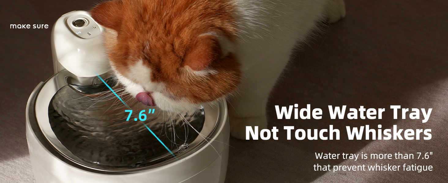 cat and dog water fountain