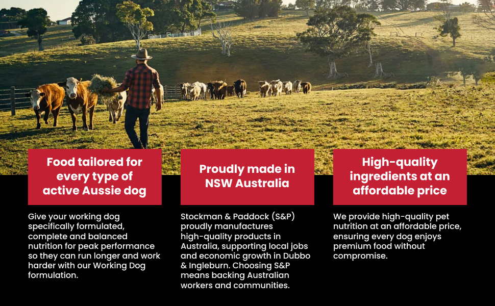 Stockman & Paddock Adult Wet and Dry Dog Food, Beef, Real Australian Meat for Complete Nutrition