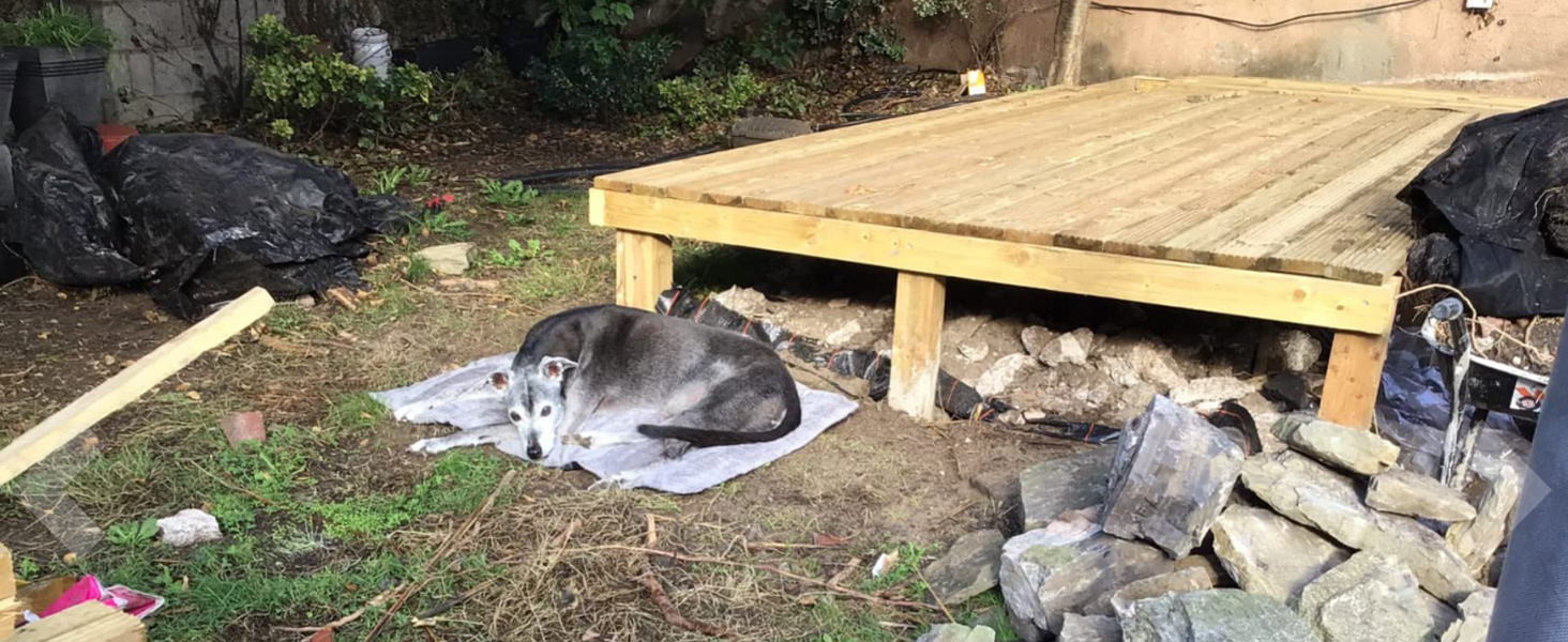 5 star review dog garden bed