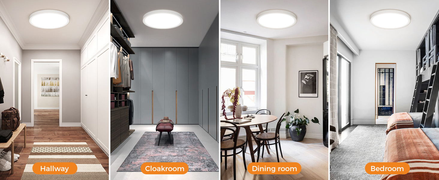 flush mount ceiling light