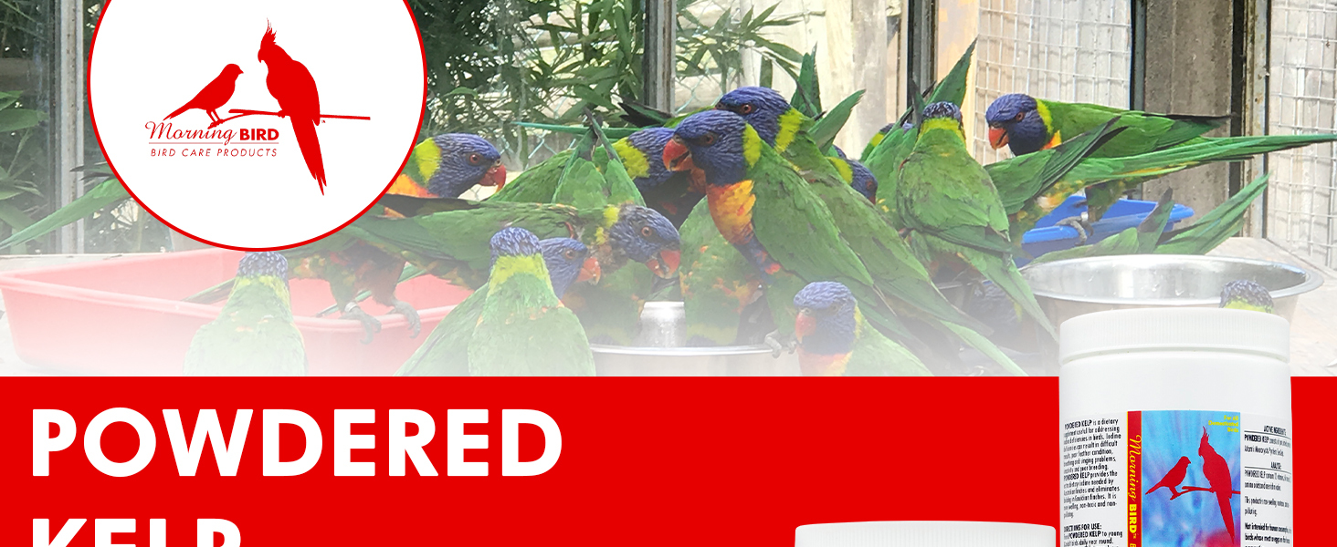 bird vitamins calcium for birds bird vitamins for water