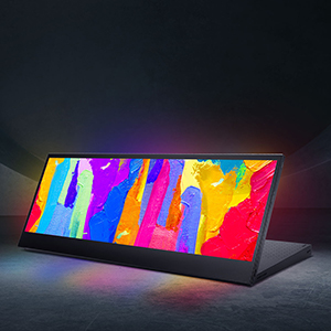 ASUS ProArt Display 14” Portable Touch Screen Monitor (PA147CDV)