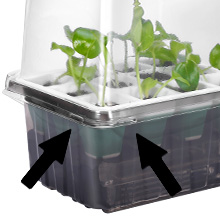 Seed Starter Tray