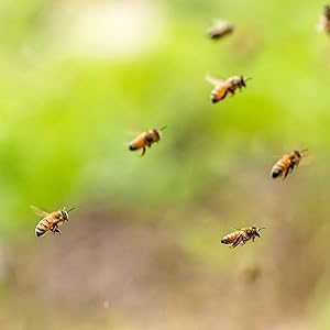 Small manufacture image 4