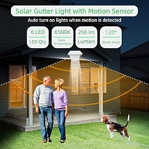 solar motion sensor light