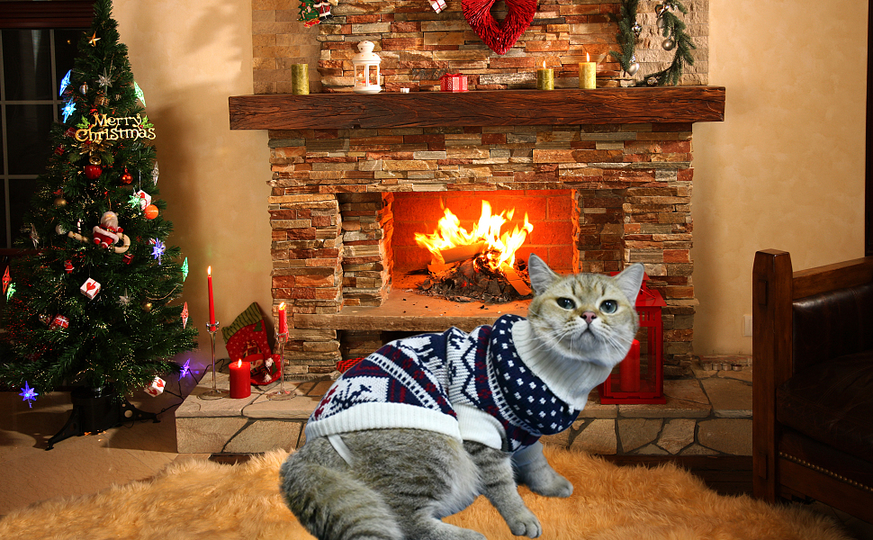 Cat Christmas Sweater