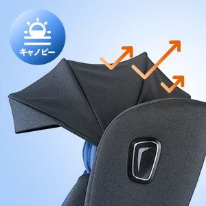 取り外し可能なオーニング