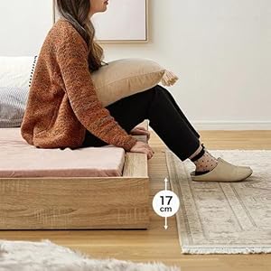 【東京都杉並区　直渡し】 LOWYA すのこベッド セミダブル LOWYA ベッド セミダブル フレーム 単品 セミダブルベッド ロー