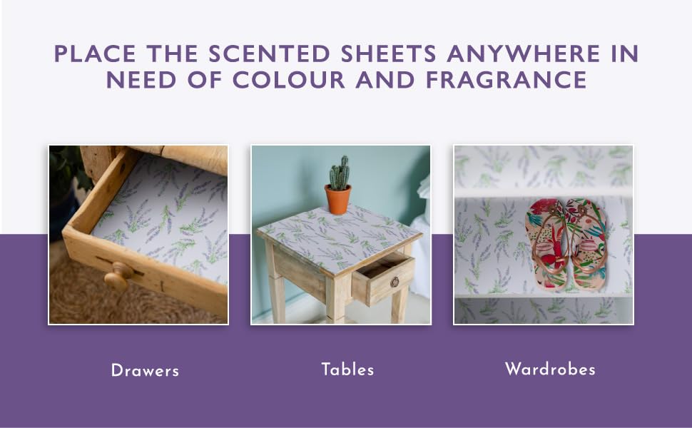 The Master Herbalist Fragrant LAVENDER Scented Drawer Liners in a