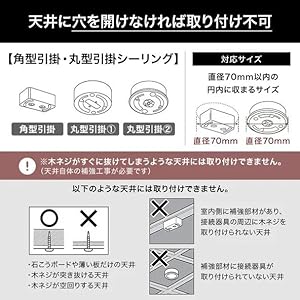 Amazon.co.jp : LOWYA ロウヤ 照明 シーリングファンライト