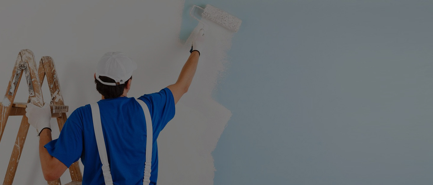 LIEKUMM 12 Pack 4 inch Medium Pile Roller Brush, Paint Rollers, Roller