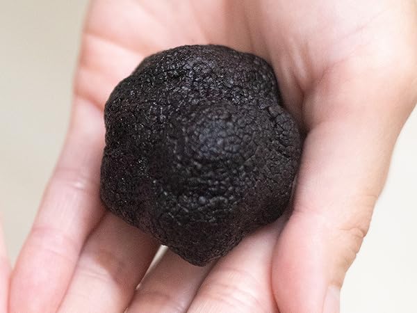 Amazon.co.jp: 大サイズ 天然 トリュフ【 黒トリュフ 約50〜90g