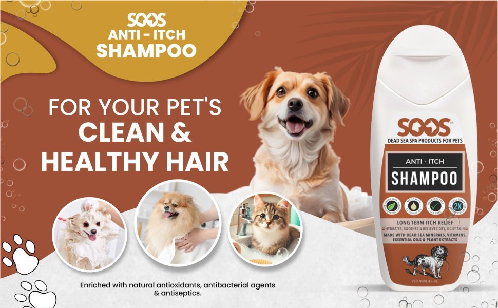 anti-itch, dog, cat, shampoo, organic, puppy, kitten, pet, skin, coat, antifungal, antibacterial