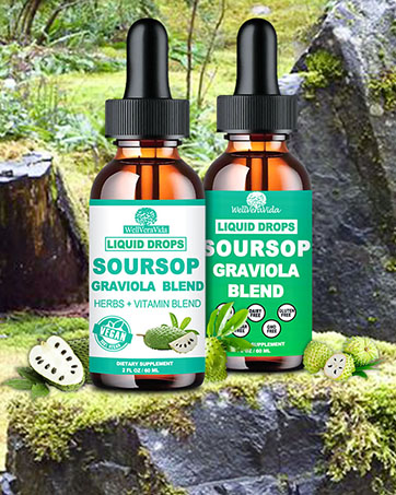 Soursop Graviola