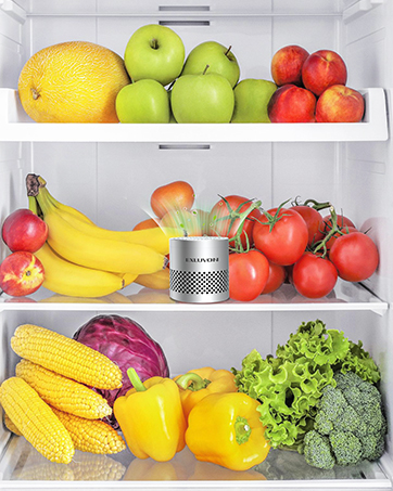 refrigerator deodorizer