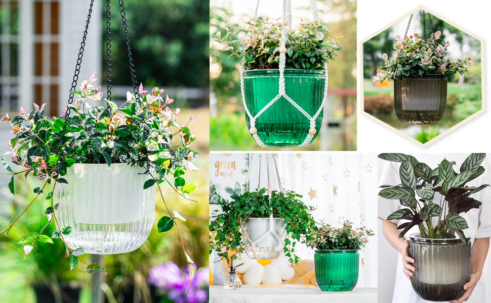 hanging planters for indoor plants