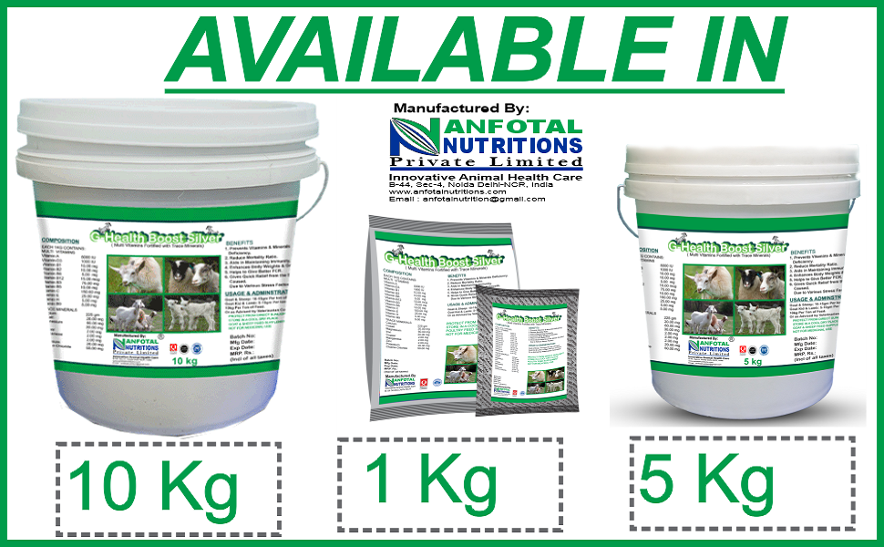 Buy GHealth Boost Silver Multi Vitamins Fortified with Mineral Mixture