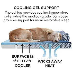 Cooling Gel Foam