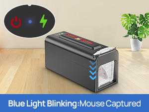 ELECTRIC RAT TRAP-08