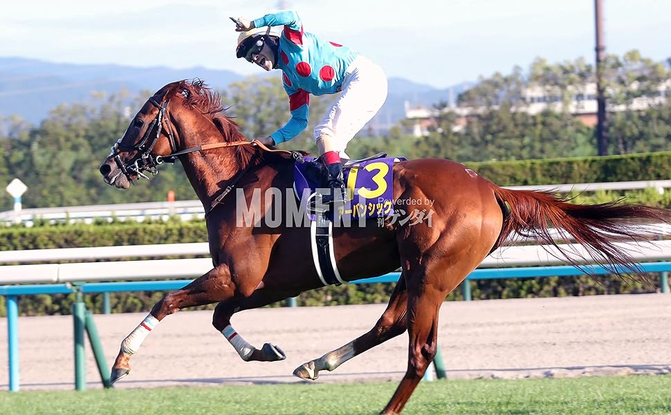 菊花賞　アーバンシック応援セット（単勝馬券、使用済クオカードほか）8点セット 菊花賞 アーバンシック応援セット（単勝馬券、使用済クオカード