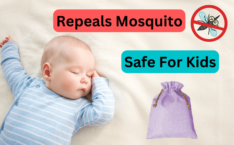 ISVARI Camphor Pouch [ 2 Lavender + 2 Original ] Air Fresheners For