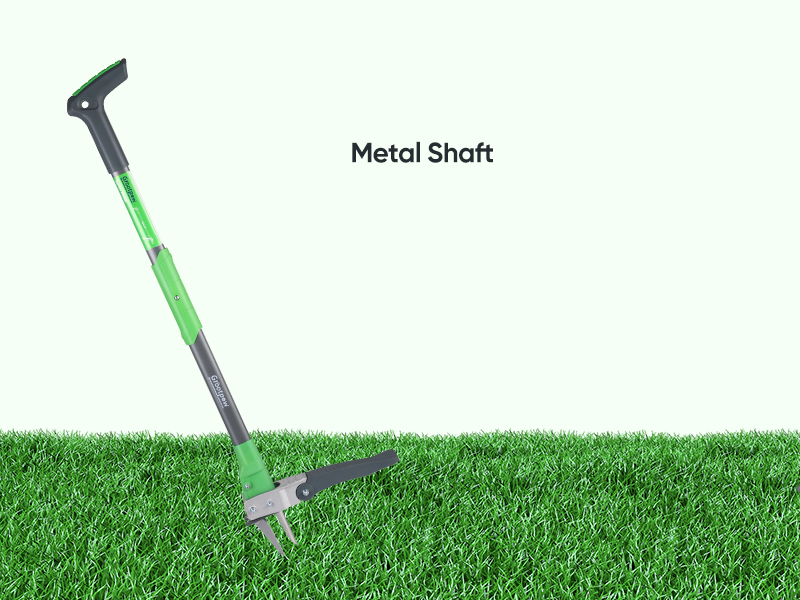 weeder