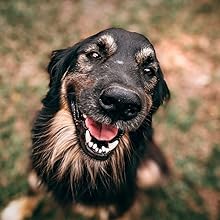 Small manufacture image 8