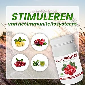 HelicoFighter Dutch