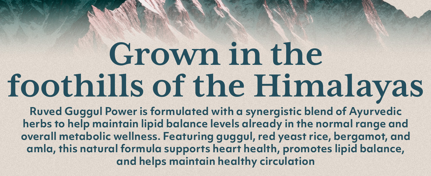 alpha lipoic acid 600mg acido alfa lipoico vitamin plan b slim capsules sciatica palm synergy lipo