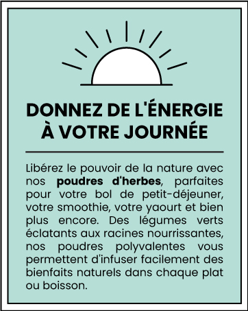 faisant la promotion des suppléments en poudre à base de plantes. Le texte explique les avantages des smoothies, des yaourts et des repas, en mettant l'accent sur l'absorption naturelle de l'énergie et des nutriments