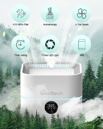 air purifier for living room