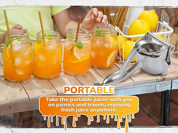 fruit press machine juicer press bird juicer squeezer fruit juicer squeezer metal citrus squeezer