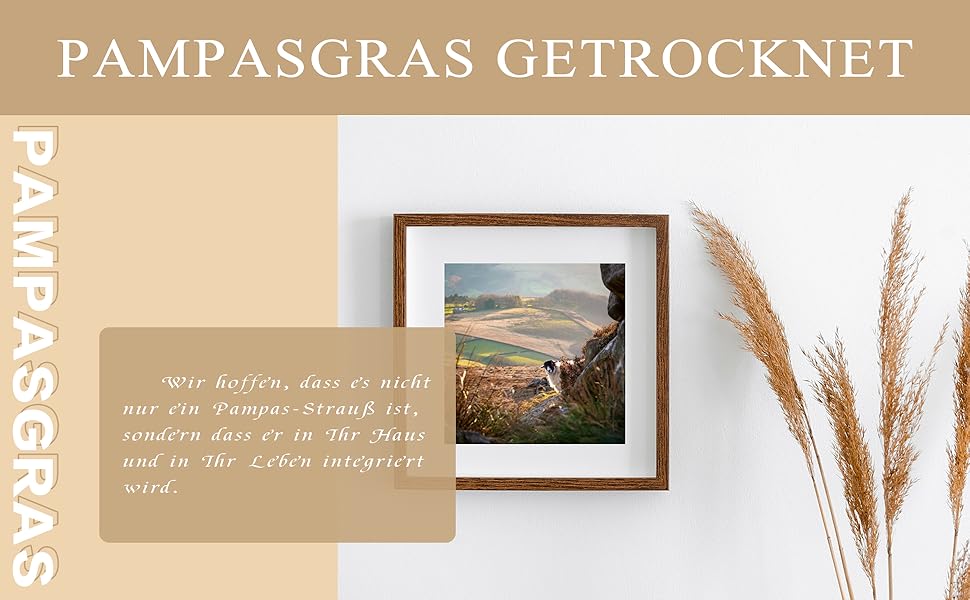 a picture of a landscape with a picture of a mountain range in the background.