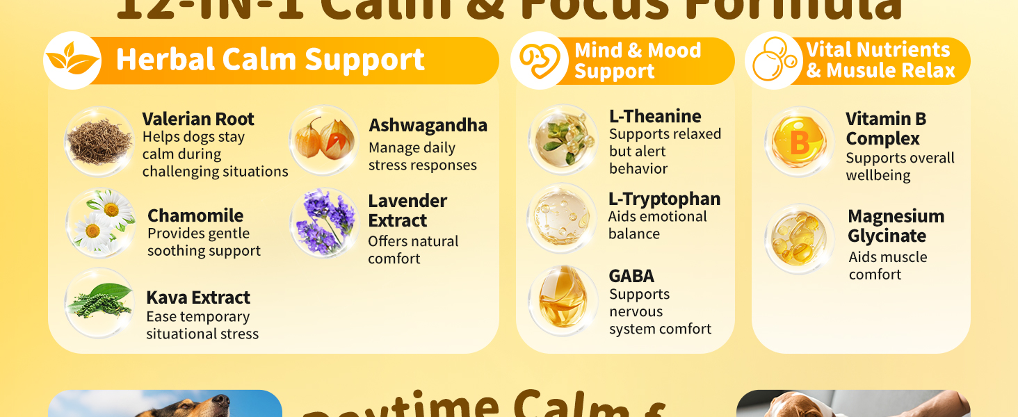 Calming Chews for Dog