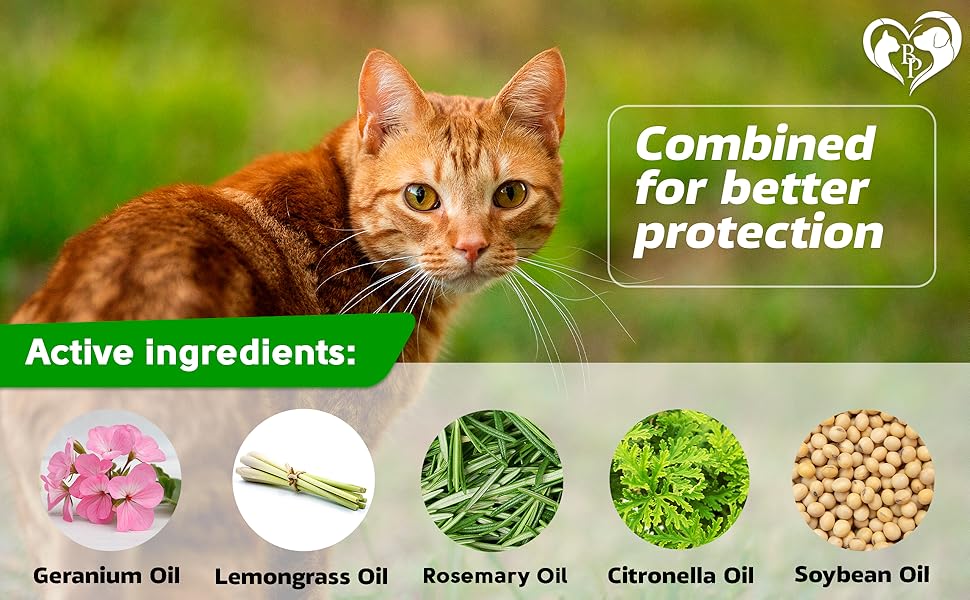 Flea and Tick Prevention for Small Dogs & Cats, Rabbits