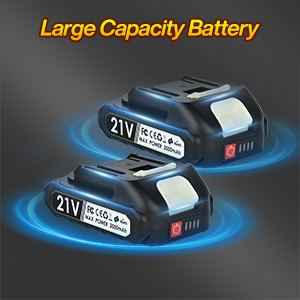 Large Capacity Battery