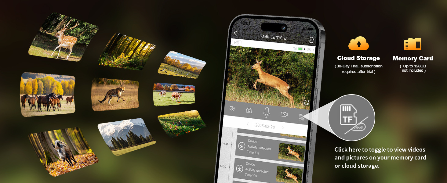 deer camera