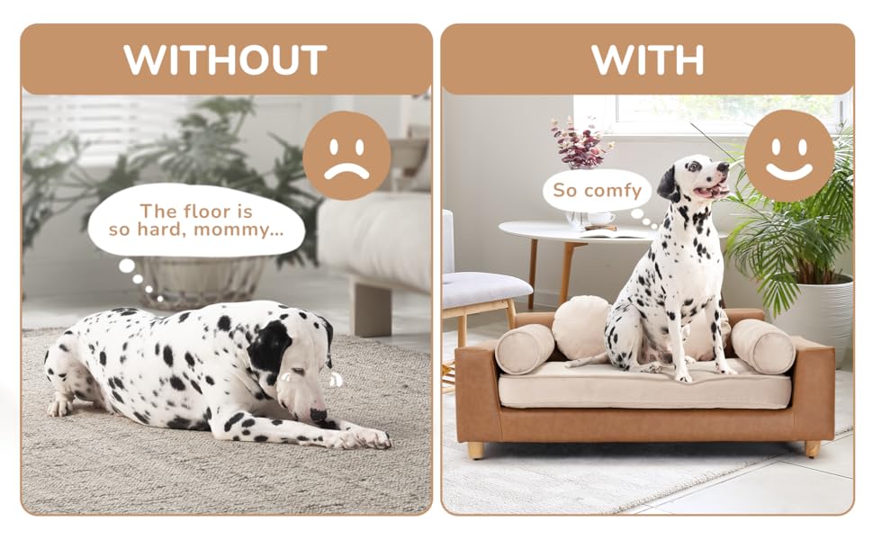 Compare a pet resting on a dog sofa bed versus the floor with a cozy dog bed for couch