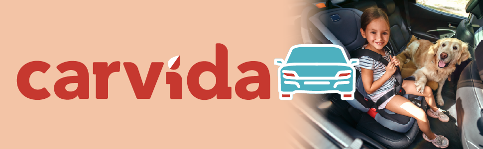 Carvida Seat & Carpet