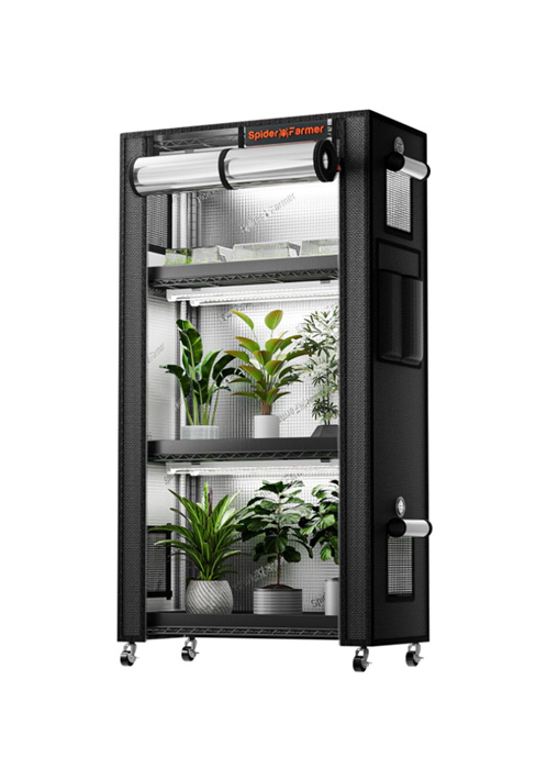 plant stand indoor