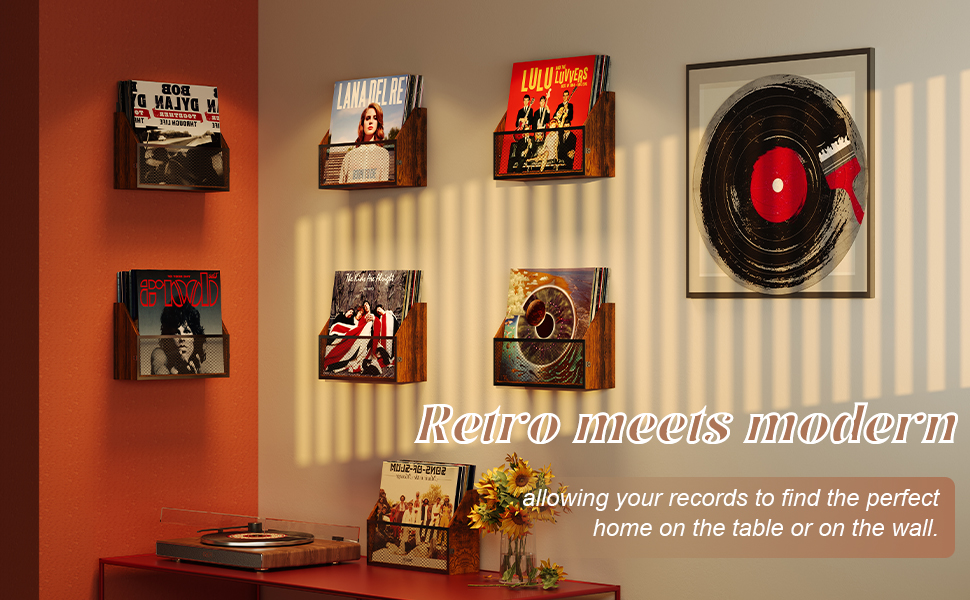 Amazon.com : Zitaloken Vinyl Record Storage Wall Mount 2