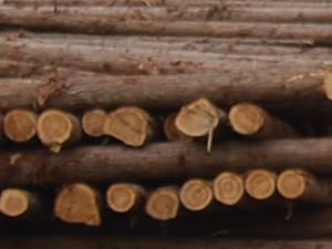 Small manufacture image 1